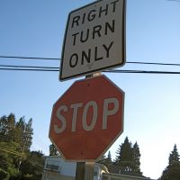 Stop and Turn Right?, Барлингейм