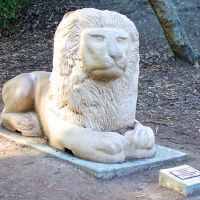 Twin Pines Park Lion Sculpture, Белмонт