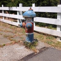 Belmont Fire Hydrant, Белмонт