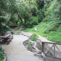 Codornices Park Picnic Area, Беркли