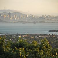 View to San Francisco From North Berkeley Hills, Беркли