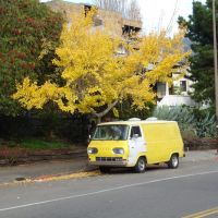 autumn car, Беркли