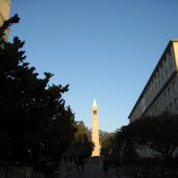 2011-12-08: The Campanile, or the Sather Tower, of UC Berkeley as illuminated by the late afternoon sun, Беркли
