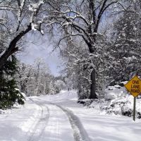 Snowy Road 425C, Блит