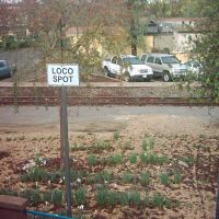 "Loco Spot" - Amtrak station in Davis, CA, Дэвис