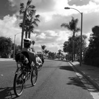 Riding Palm Ave, Империал-Бич
