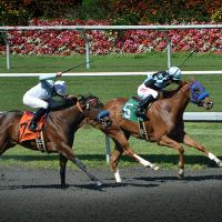 Two for the Money at Hollywood Park, Инглвуд
