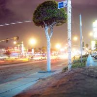 LA streetlife at night, Инглвуд