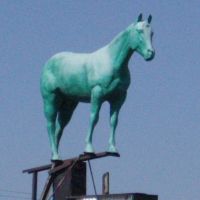 The Green Horse, Инглвуд