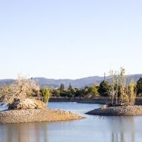 Camden Ponds in Los Gatos Creek County Park, Кампбелл