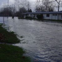 2005 Flood: Coast Guard Housing(Quinalt Village) on Hamilton Ave Looking towards Olivera Road, Конкорд