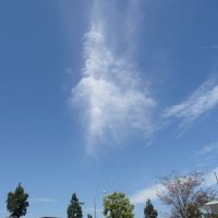 Clouds over Inglewood, Леннокс