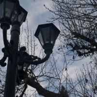 Lamp, Лос-Альтос