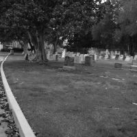 graves, Лос-Альтос