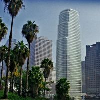 Palms and skyscrapers in LA, Лос-Анжелес