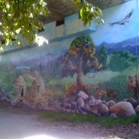 Los Gatos Creek Trail Mural, Лос-Гатос