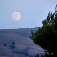 Moonrise Over the Hills Above Milpitas, Милпитас