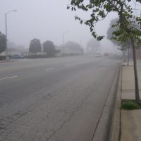 Foggy, Монтерей