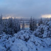 Snowy morning, Мэйфлауер-Виллидж