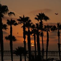 Oceanside Sunset Palms, Оушнсайд