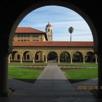 2010-12-16: The Main Quad, Stanford University, Пало-Альто