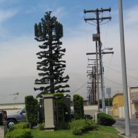 Green Cell Tower at Alondra, Парамоунт