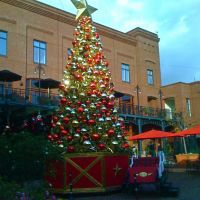 The Christmas Tree in Old Town Pasadena, Пасадена