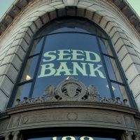 Seed Bank, Petaluma, California, Петалума