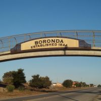 Boronda, Салинас