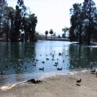 The Secome Lake at Secombe Park, Сан-Бернардино