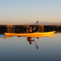 Paddling in Steinberger Slough, Сан-Карлос
