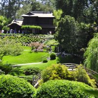 Japanese Garden in the Hutington  Library, San Marino,CA,USA, Сан-Марино