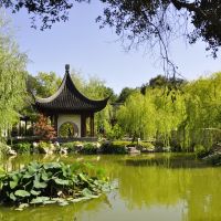 China Garden, Huntington Libary, Pasadena, San Marino ,CA,USA, Сан-Марино