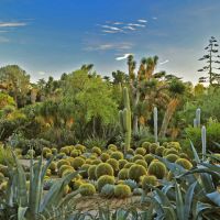Desert Garden with Henri Rousseau colors, Huntington Botanical Garden San Marino California, Сан-Марино