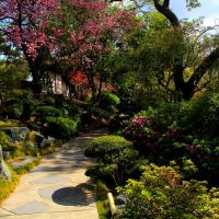The Huntington Art Museum and Botanical Gardens, San Marino, CA, Сан-Марино