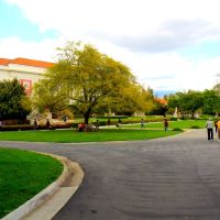 The Huntington Art Museum and Botanical Gardens, San Marino, CA, Сан-Марино