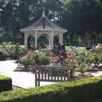 Central Park Rose Garden, Сан-Матео