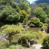 Japanese Tea Garden, San Mateo, CA, Сан-Матео