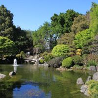 Japanese Garden @ Central Park, San Mateo, California, Сан-Матео