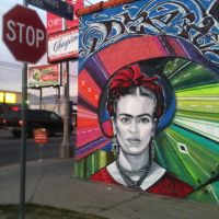 Frida Kahlo, Сан-Фернандо