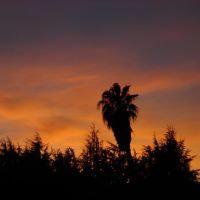 Santa Clara Sunset, Санта-Клара
