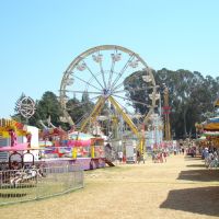 Sonoma County Summer Fair 2006, Санта-Роза