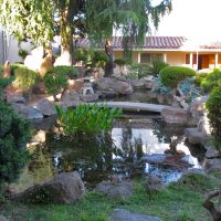 Koi pond at the Marysville Buddhist Church. 125 B St., Marysville, California, Саут-Юба