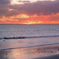 Sunset at Seal Beach, California, Сил-Бич