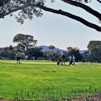 Golf field and cypress trees, Сисайд