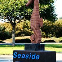 Seaside, Ca., Сисайд
