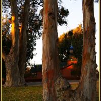 Храм под эвкалиптами. Монтерей, Калифорния. The Temple under the eucalyptus trees. Monterey, CA, Сисайд
