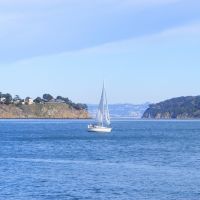 San Francisco Bay, Сусалито