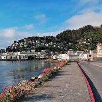 Houses nestled on the hill and the waterfront Sausalito, Marin, California, Сусалито