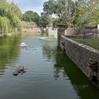 Ralph Mitchel Zoo Duck Pond, Индепенденс